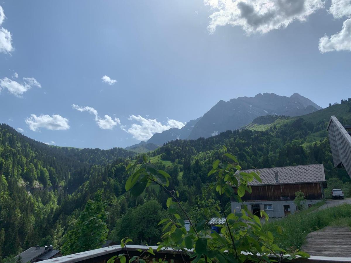라 지에타 Terrasse Sur Les Aravis 아파트 외부 사진